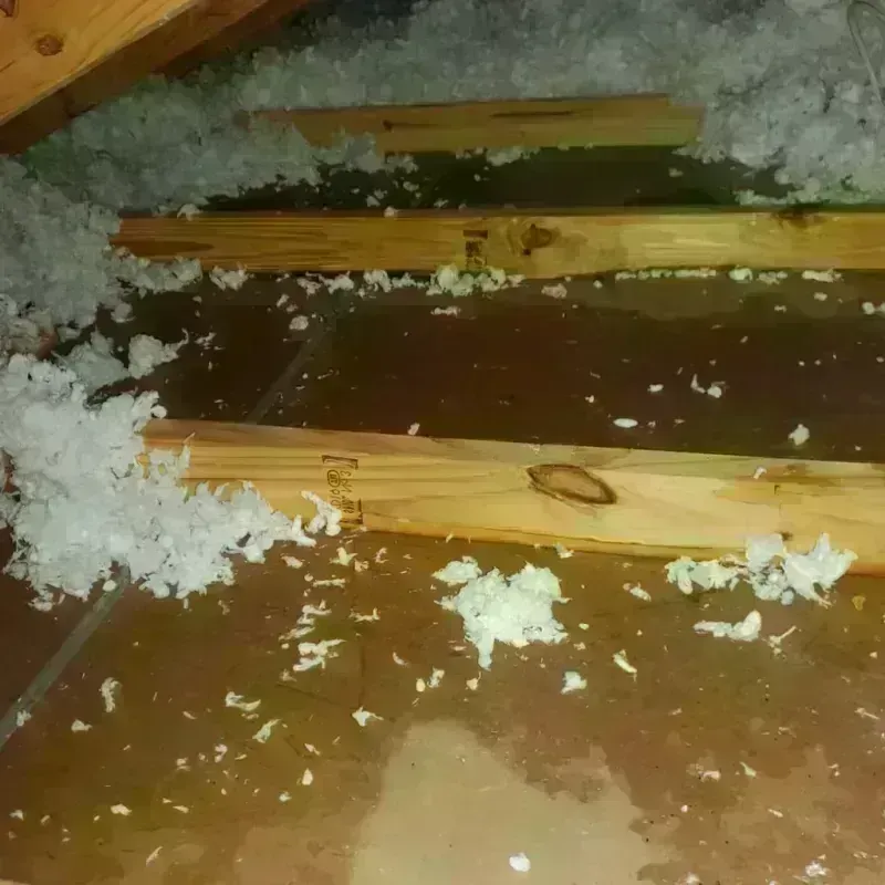 Attic Water Damage in Gilmer County, WV